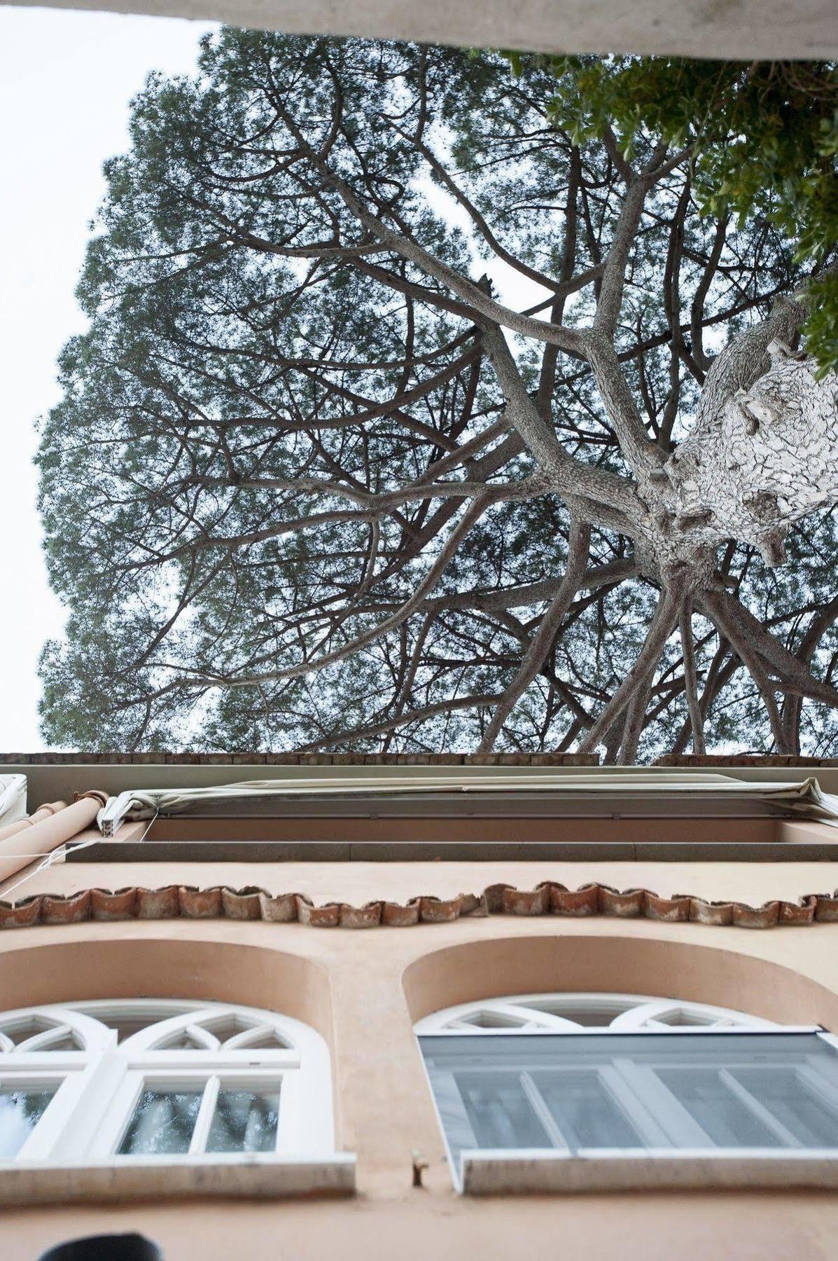 拉维罗La Casa Di Carla公寓 外观 照片